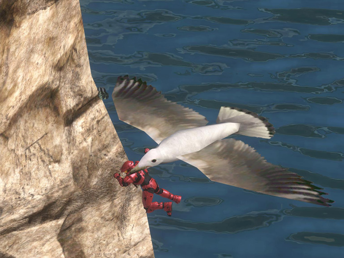 BWU Seagull eating Spartan.jpg