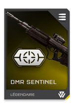 H5G REQ card DMR Sentinel-stabilisateur.jpg