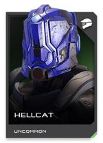 H5G REQ card Casque Hellcat.jpg