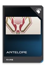 H5G REQ card Antelope.jpg