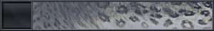 TMCC Nameplate Snow Leopard.png