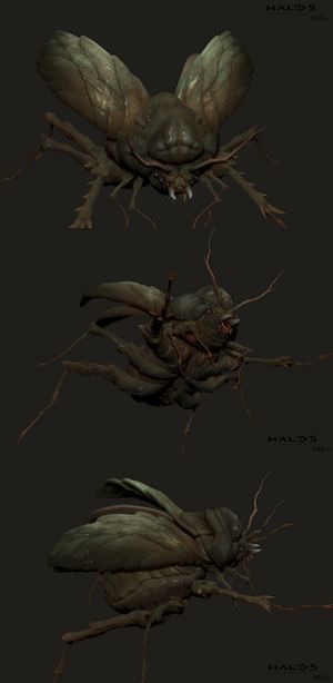 H5G-Organic creature, Beetle High Poly 02 (Yan Chan).jpg
