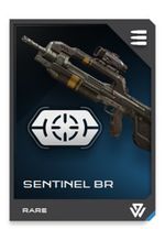 H5G REQ card Sentinel BR-Stabilisateurs.jpg