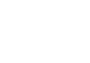 HFR Fireteam Raven (Wings White Logo).png
