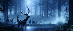 HINF E3 2018 Forest Fauna.jpg