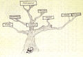 JPDH-Genealogy Halsey.jpg