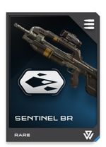 H5G REQ card Sentinel BR-Verou cinetique.jpg