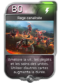HW2 Blitz card Rage canalisée (Way).png