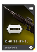 H5G REQ card DMR Sentinel-canon long.jpg