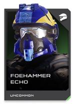 H5G REQ card Casque Foehammer Echo.jpg