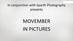 Affiche Movember in picture (photographe) HB2011 n°26.jpg
