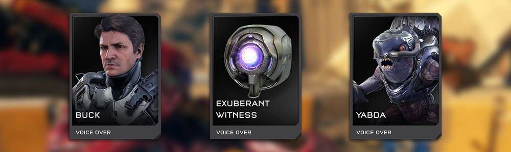 CF - Bounty Hunters (H5G-Voices of War REQ Pack banner).png