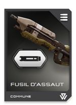 H5G REQ card Fusil d'assaut-Canon long .jpg