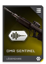 H5G REQ card DMR Sentinel-silencieux.jpg