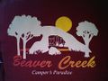 Beaver Creek shirt.jpg