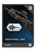 H5G REQ card Sentinel BR-Silencieux.jpg