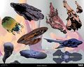 HINF-Hunter exploration 01 (Daniel Chavez).jpg