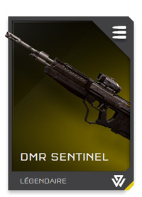 H5G REQ card DMR Sentinel.jpg
