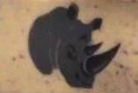 MB-Fireteam Rhino Emblem.jpg