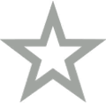 HSA star silver.png