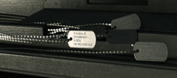 HINF-Easter egg Dog tags (Spartan Academy).png