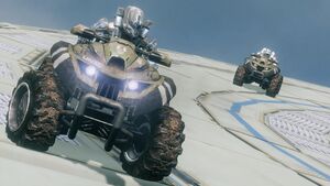 HB 06.08.2014-H4 Mongoose race 8.jpg