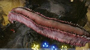 HW2-Flood tentacle (Michael Hyman).jpg