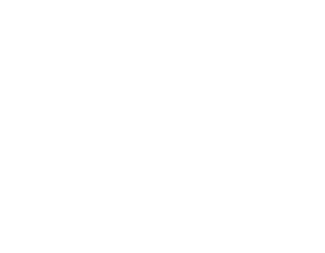 HINF S4 Symmetry backdrop.png