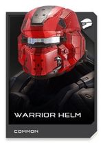 H5G REQ card Casque Warrior Helm.jpg