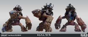 H5G-Grunt 02 (Kyle Hefley).jpg