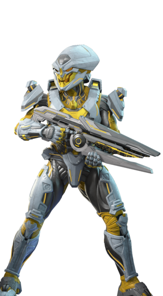 Fichier:HINF-Warden Eternal bundle (render).png