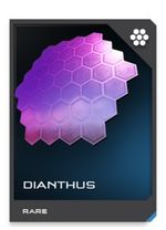 H5G REQ card Dianthus.jpg