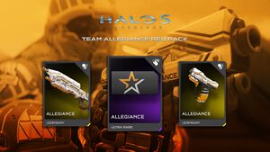 H5G Allegiance skins.jpg