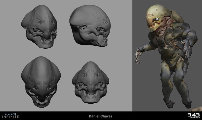 Fichier:HINF-Skimmer exploration 05 (Daniel Chavez).jpg