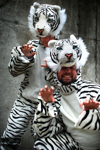 Fichier:BWU Tiger In Force.jpg