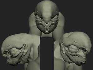HINF-Skimmer headsculpt (Daniel Chavez).jpg