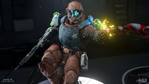 HINF-S5 Winter Contigency III armors 06.jpg