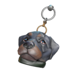 HINF S2 Gunner charm.png