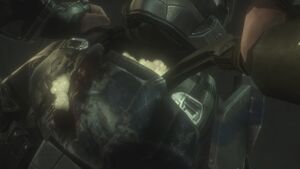 HODST-Biofoam (Way thumbnail).jpg