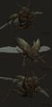 H5G-Organic creature, Beetle High Poly 04 (Yan Chan).jpg
