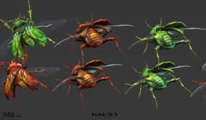 H5G-Organic creature, beetle 02 (Yan Chan).jpg