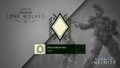 HINF-S2 Diamond nameplate & emblem.jpg