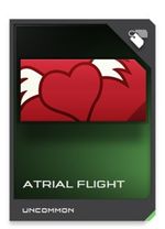 H5G REQ card Atrial Flight.jpg