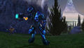 HCE screenshot officiel Halo.jpg