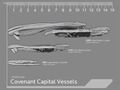 CF - In the Loop (HFB Covenant Capital Vessels 01).jpg