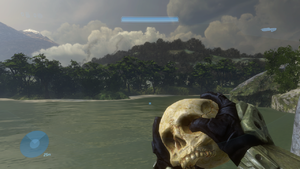 H3 First Person Skull.PNG