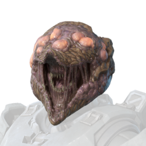 HINF FU Dirgesinger helmet.png