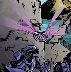 HCD1 Sonde covenante.jpg