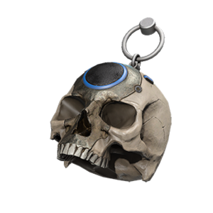 HINF Skull charm.png