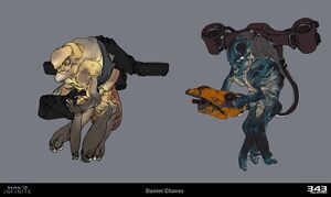 HINF-Skimmer exploration 02 (Daniel Chavez).jpg